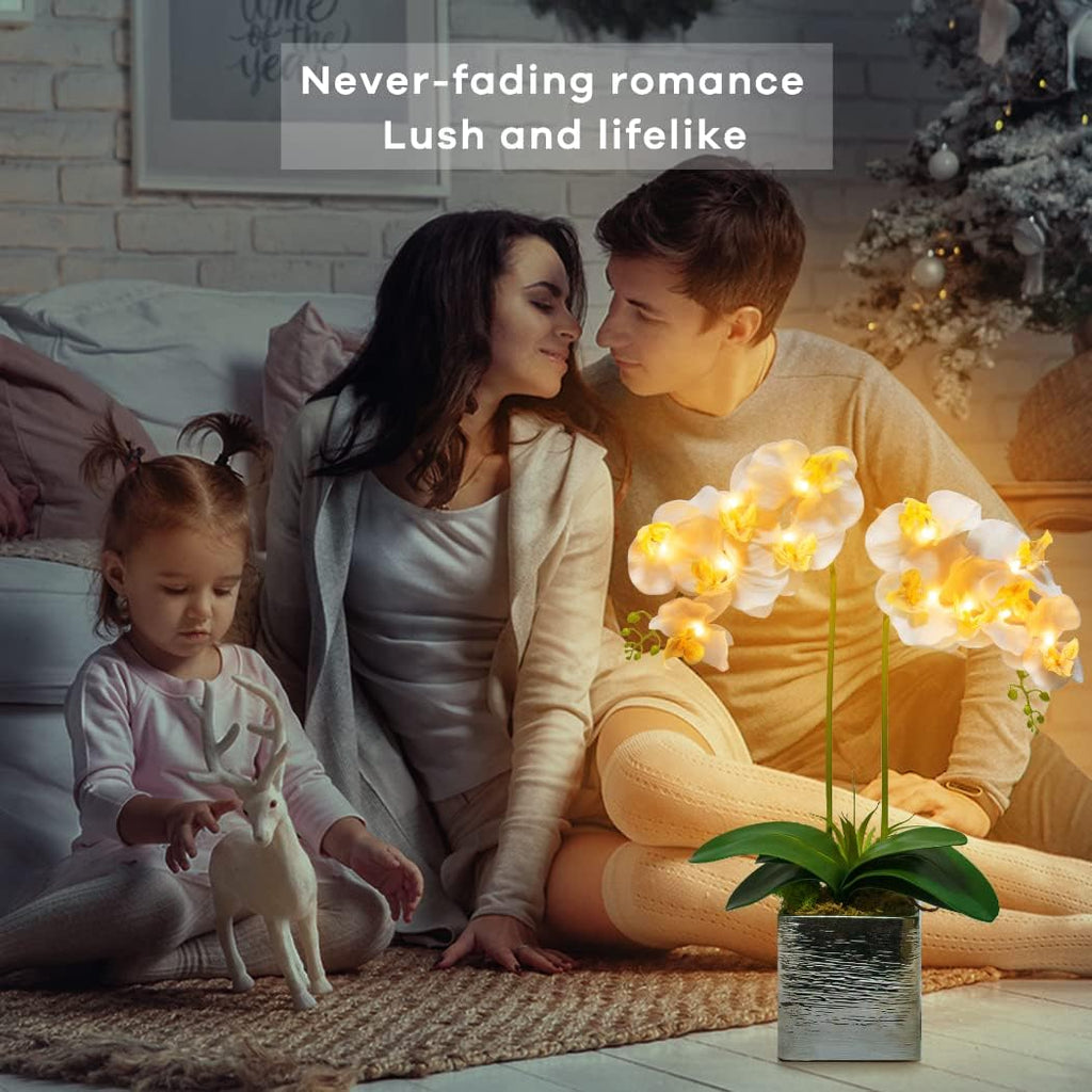 Orchid Lamp-LED Lighted Orchid Arrangements,Pre Lit Artificial Orchid,Light Up Flower Lights, Faux Orchid