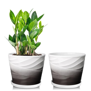 Ceramic Plant Pots, 6 Inch, Set of 2