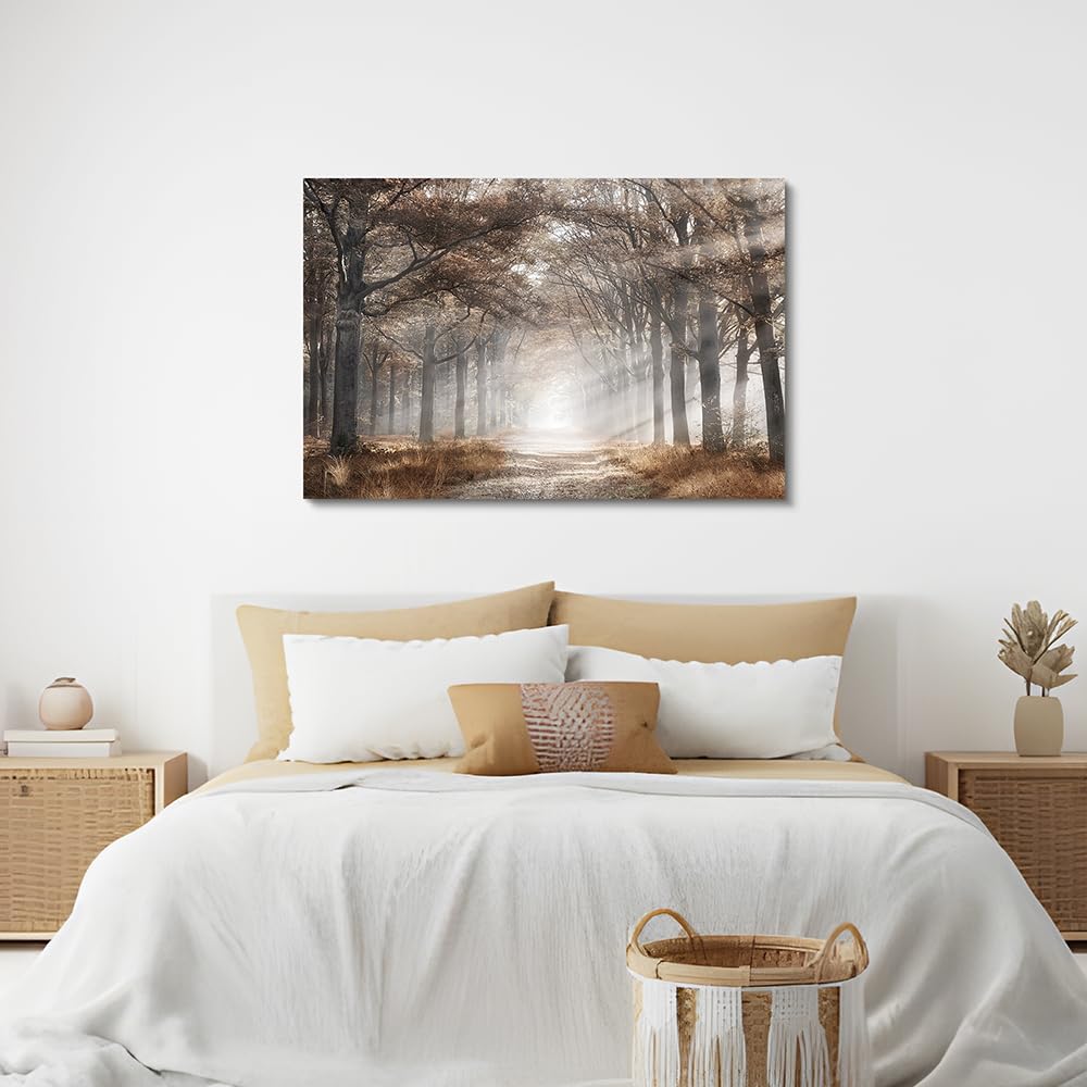 Autumn Forest Picture Wall Art: Large Tree Canvas Prints Morning Sunshine Painting Nature Orange Fall Landscape