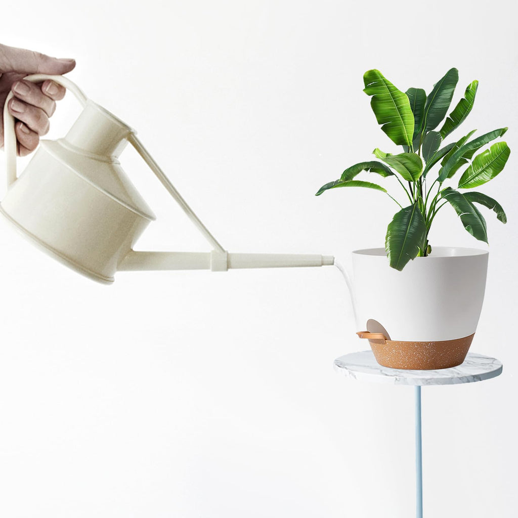 Plant Pots, 12+10+9 Inch Self Watering Pots with Drainage Hole for Indoor Plants Large Flower Pot, Plants Pots Indoor