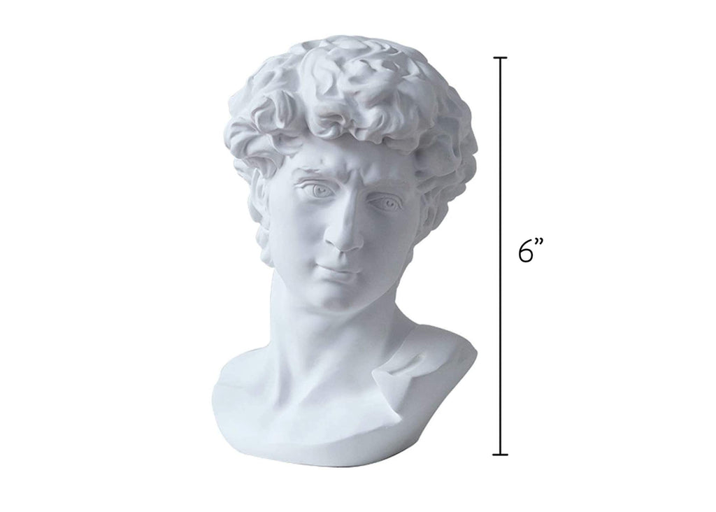 Greek Statue of David - Head Bust for Mythology and Home Decor