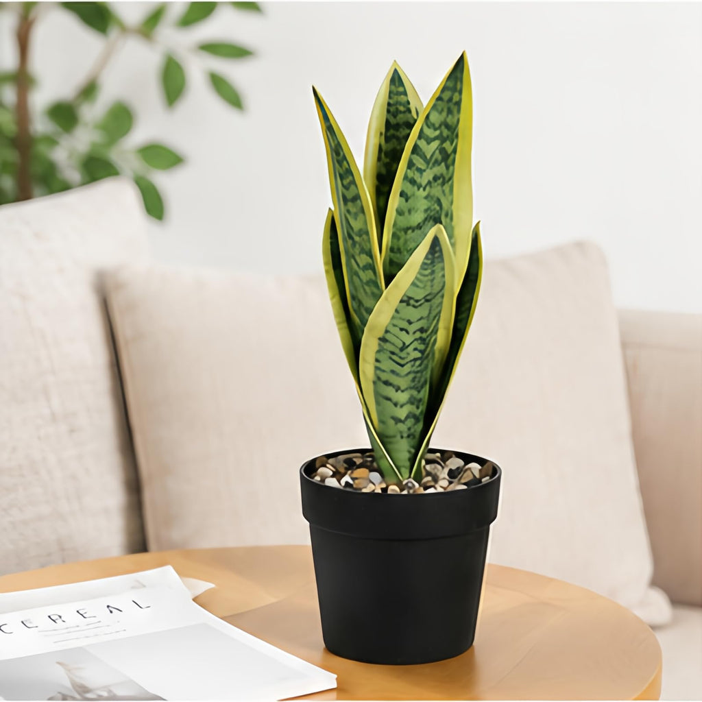 Mini plants Small Artificial Snake Plant in Black Pot 10.5" - Green