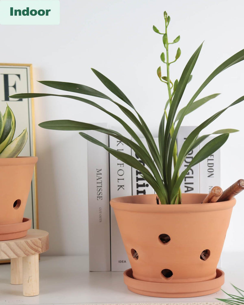 8 Inch Terracotta Orchid Pots with Holes and Saucers - 2 Pack Clay Orchid Planter Pots for Repotting, Breathable