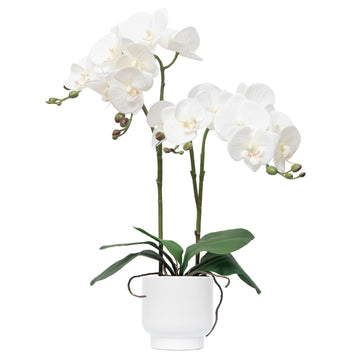 Orchids Artificial Flowers Real Touch Fake Flowers in Ceramic Pot 20" White Faux Orchid Plant Lifelike Silk