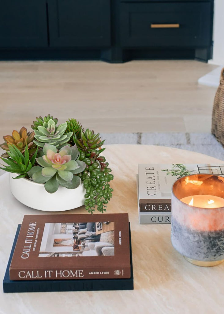 Artificial Succulent Plants in Pot 5.5 Inch Fake Succulents Arrangement