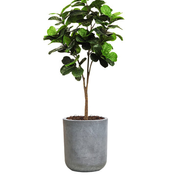 Round Concrete Planter Pot, Large Cement Planter Containers with Drainage Hole for Indoor Plants & Outdoor, 12.3" H