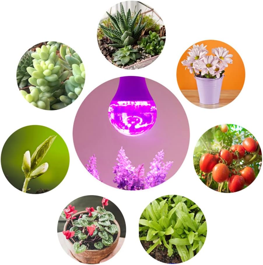 Grow Light Bulbs for Indoor Plants - Full Spectrum E26 A19 LED Lamp Bulb 12W - Balanced Spectrum 5000K with Red &