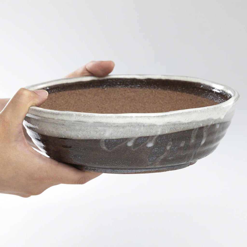 Shigaraki Bonsai Pot 8.3in, Handmade Japanese Pot, White Stripe