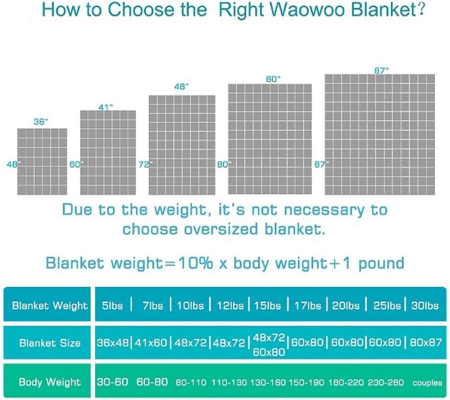 Adult Weighted Blanket Queen Size (15lbs 60"x80") Heavy Blanket with Premium Glass Beads, (Dark Grey