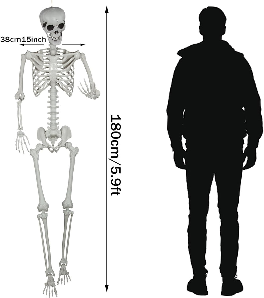 5.9ft Halloween Life Size Skeleton Realistic Full Body Skeletons Plastic Human Bones with Movable Joints