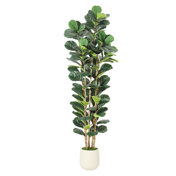 Artificial Fiddle Leaf Fig Tree with White Planter - 7 ft