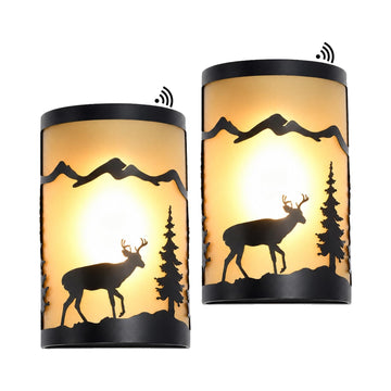 Rustic Outdoor Wall Lights, Amber Exterior Wall Sconce for Porch, 2 Pack