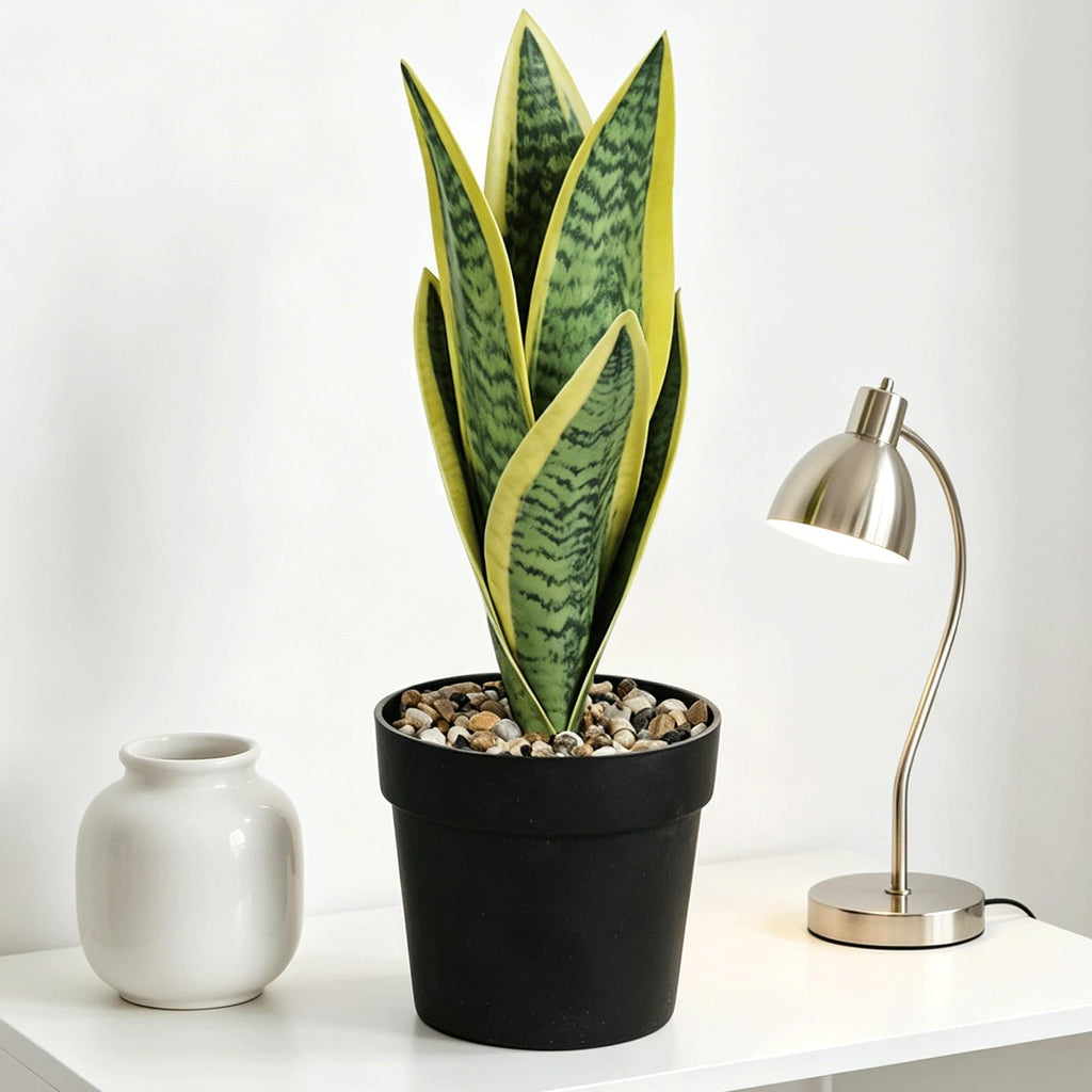 Mini plants Small Artificial Snake Plant in Black Pot 10.5" - Green