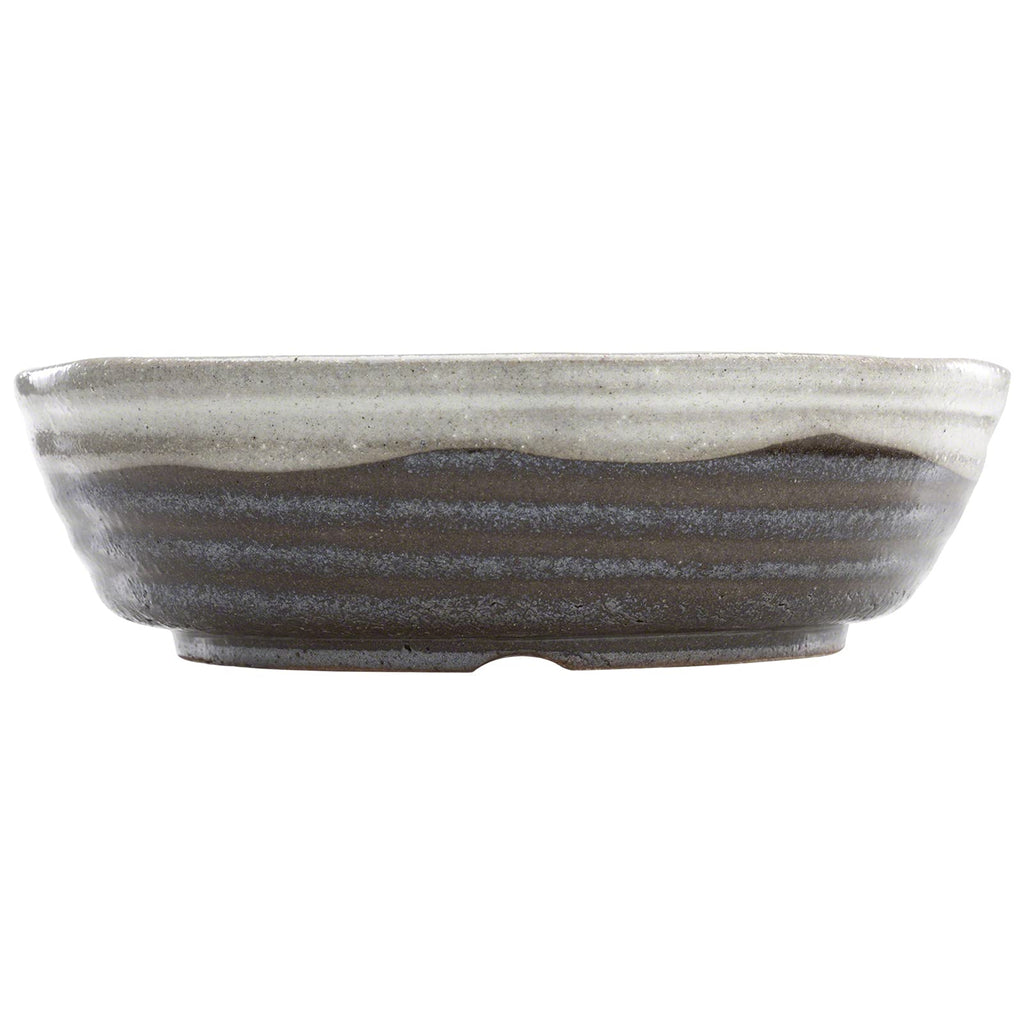 Shigaraki Bonsai Pot 8.3in, Handmade Japanese Pot, White Stripe