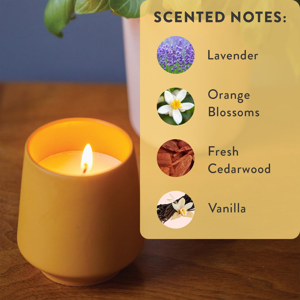 Soy Candle Planter - Grows Lavender - Cedarwood Scent - 6 oz