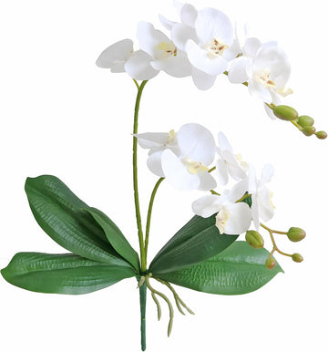 2 Branches Artificial White Phaleanopsis Flowers Faux Orchids Stems Leaves Plants Bonsai Garden Decoration (White)