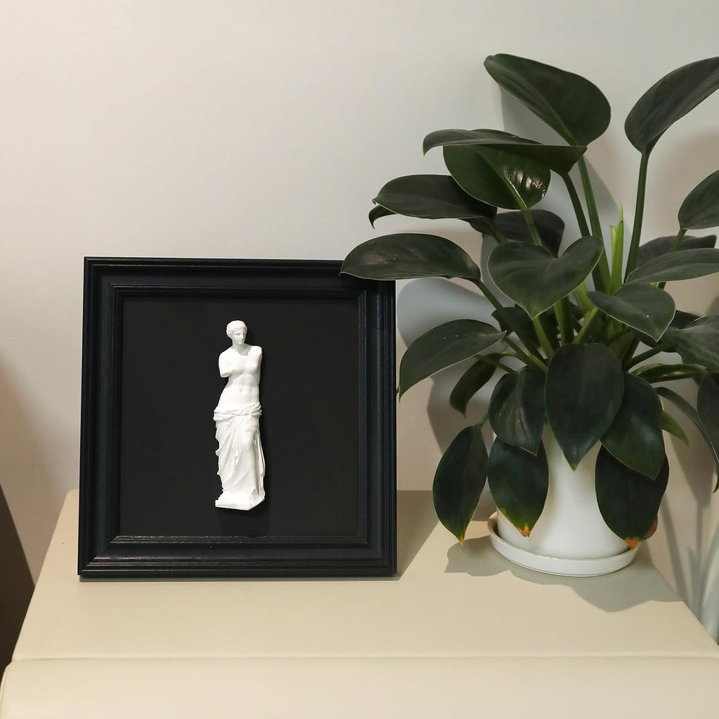 Framed Black and White Wall Sculpture Venus de Milo