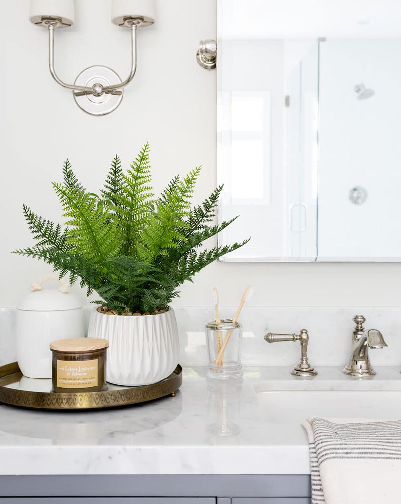 Faux Plant Indoor in Ceramic Pot 12" Artificial Potted Fern Fake House Plants for Desk Office Bathroom Garden