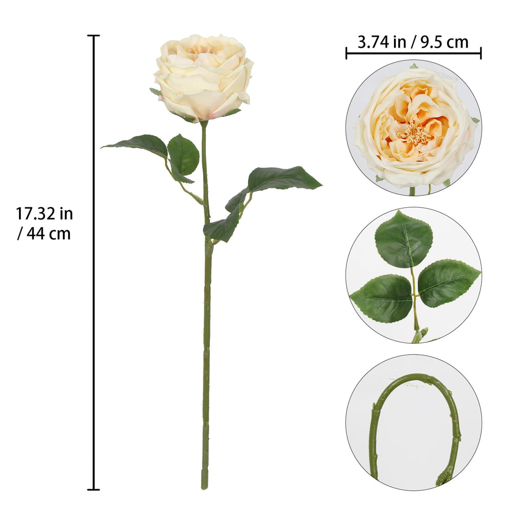 5PCS Real Touch Austin Roses Champagne Flowers Peony Artificial Flowers Fake Roses with Stems for Wedding Bouquet