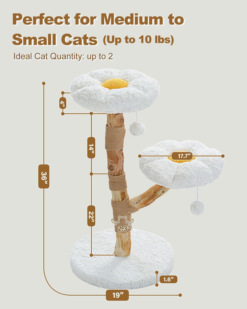 Wood Flower Cat Tree, Modern Cat Tower with Real Wood Branches, Luxury Boho Furniture with Scratching Post and 2