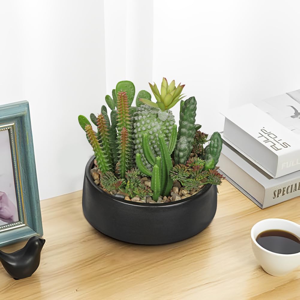 Artificial Cactus Plants in Pot 5.5 Inch Fake Succulents Arrangement Potted Plant in Black Ceramic Planter Bowl Desk