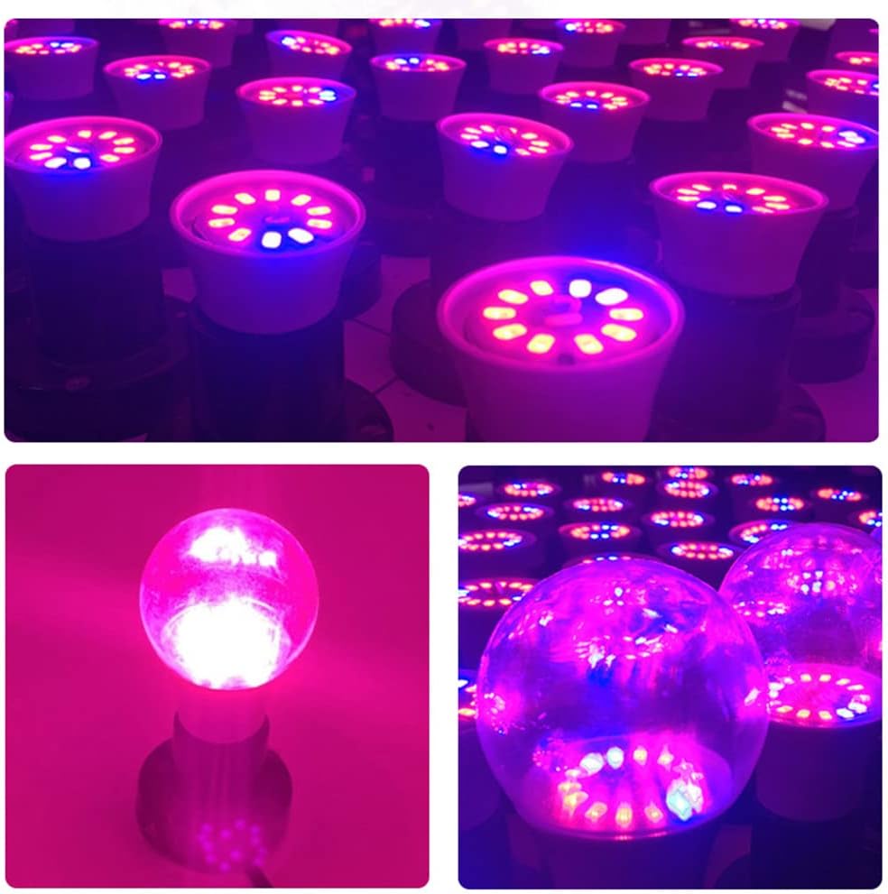 Grow Light Bulbs for Indoor Plants - Full Spectrum E26 A19 LED Lamp Bulb 12W - Balanced Spectrum 5000K with Red &