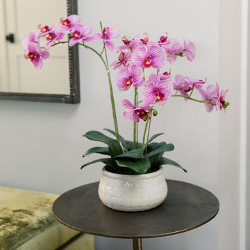 Faux Orange Orchid Plant, 23 in, White, Home Decor