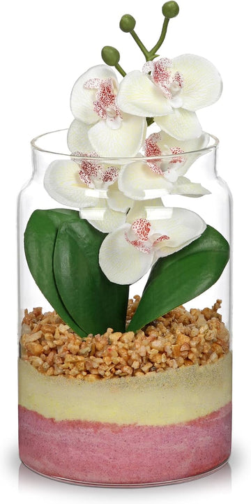 White Orchids Artificial Flowers with Vase, Small Faux Orchid Arrangement Fake Orchids Plant in Terrarium Jar Small