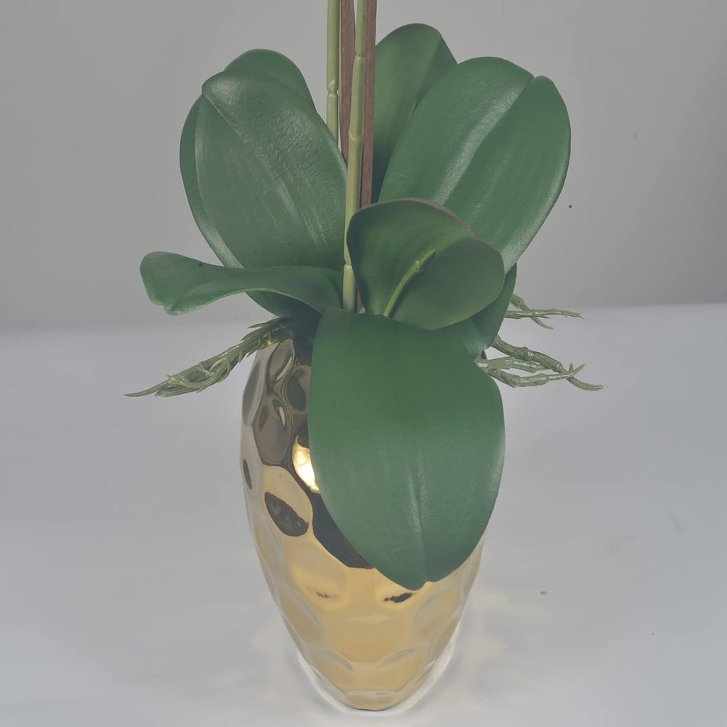 Artificial Orchid Plants & Flowers Arrangement in Ceramic Pot, Fake Faux White Orchid with Gold Vase, Realistic