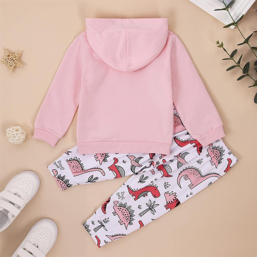 Toddler Baby Girls Clothes Sets Little Girl Dinosaur Long Sleeve Shirts Tops + Pants 2pcs Fall Winter Outfits