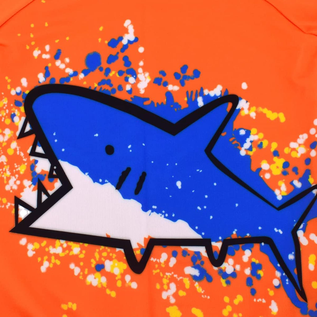 Boys Long Sleeve Rash Guard 2 Piece Swim Set UPF 50+