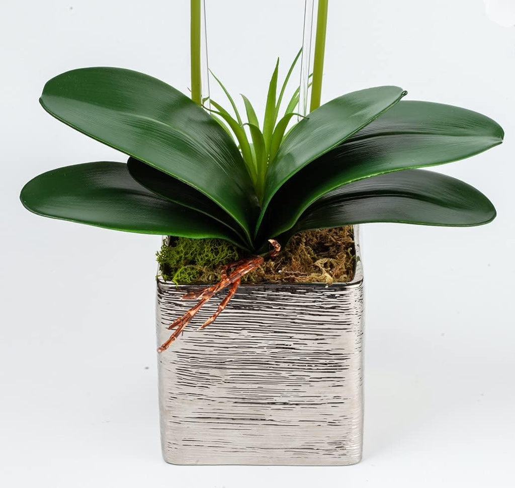Orchid Lamp-LED Lighted Orchid Arrangements,Pre Lit Artificial Orchid,Light Up Flower Lights, Faux Orchid