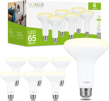 Dimmable LED Flood Lights, BR30 Bulbs, 650LM 2700K Soft White, E26 Base, UL Listed, Pack of 6