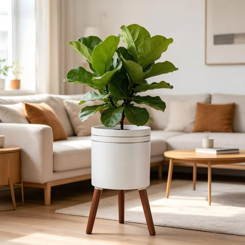12 Inch Plant Pot with Oak Wood Stand, Large Planter for Indoor Plant, Simple Modern Flower Pot Flower Pot with