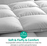 Lightweight All-Season Down Feather Fibers Comforter Queen/Full Duvet Insert for Hot Sleepers/Warm W