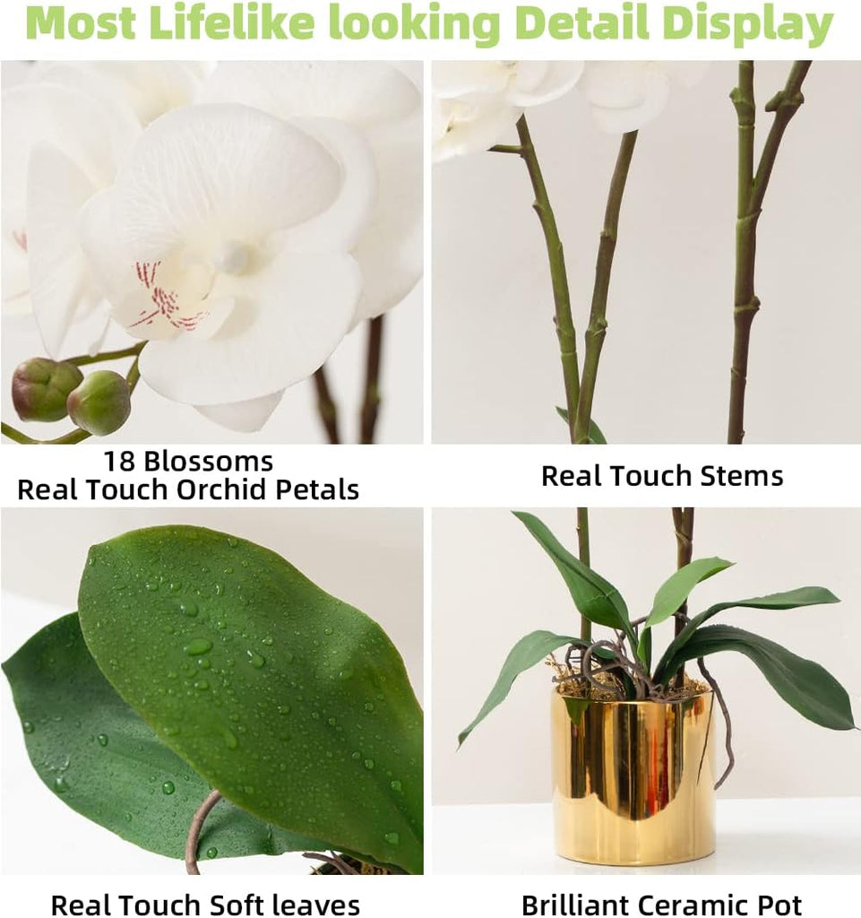 Artificial Orchid Flower Plant 19.7'' Real Touch Faux Orchids in Vase