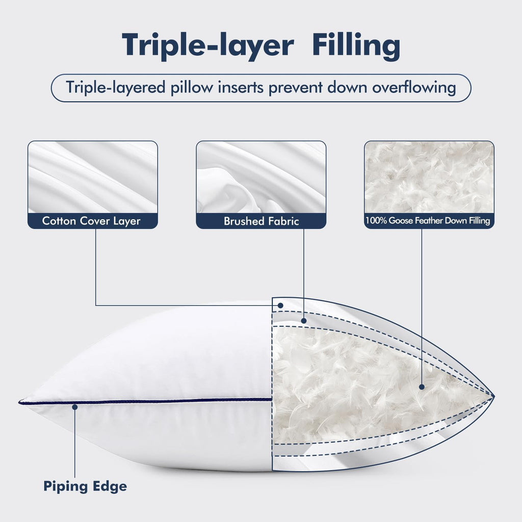 Goose Feather Down 20x20 Pillow Insert with 100% Down-Proof Cotton Cover, Soft Fluffy Decorative Pillow - Set of 2