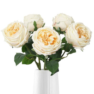 5PCS Real Touch Austin Roses Champagne Flowers Peony Artificial Flowers Fake Roses with Stems for Wedding Bouquet