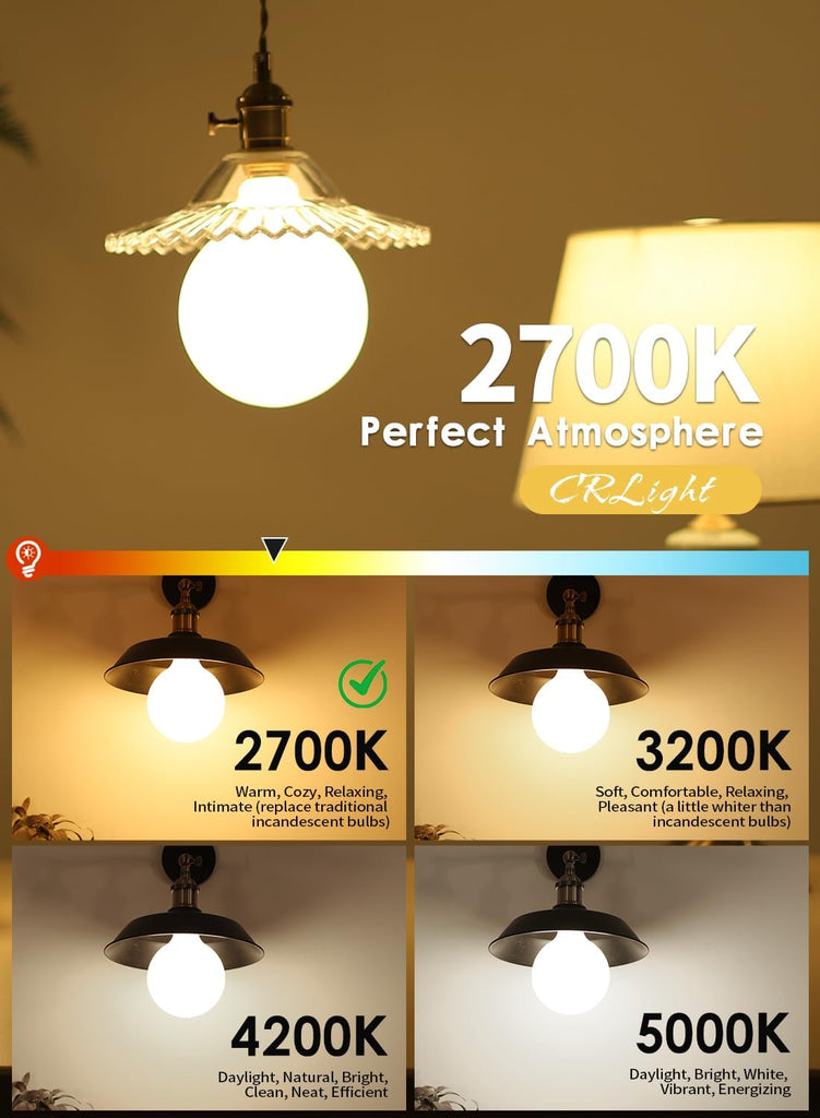 12W Dimmable G125/G40 LED Globe Light Bulb, 2700K Warm White, E26