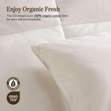 Lightweight Organic Feather Down Comforter Queen