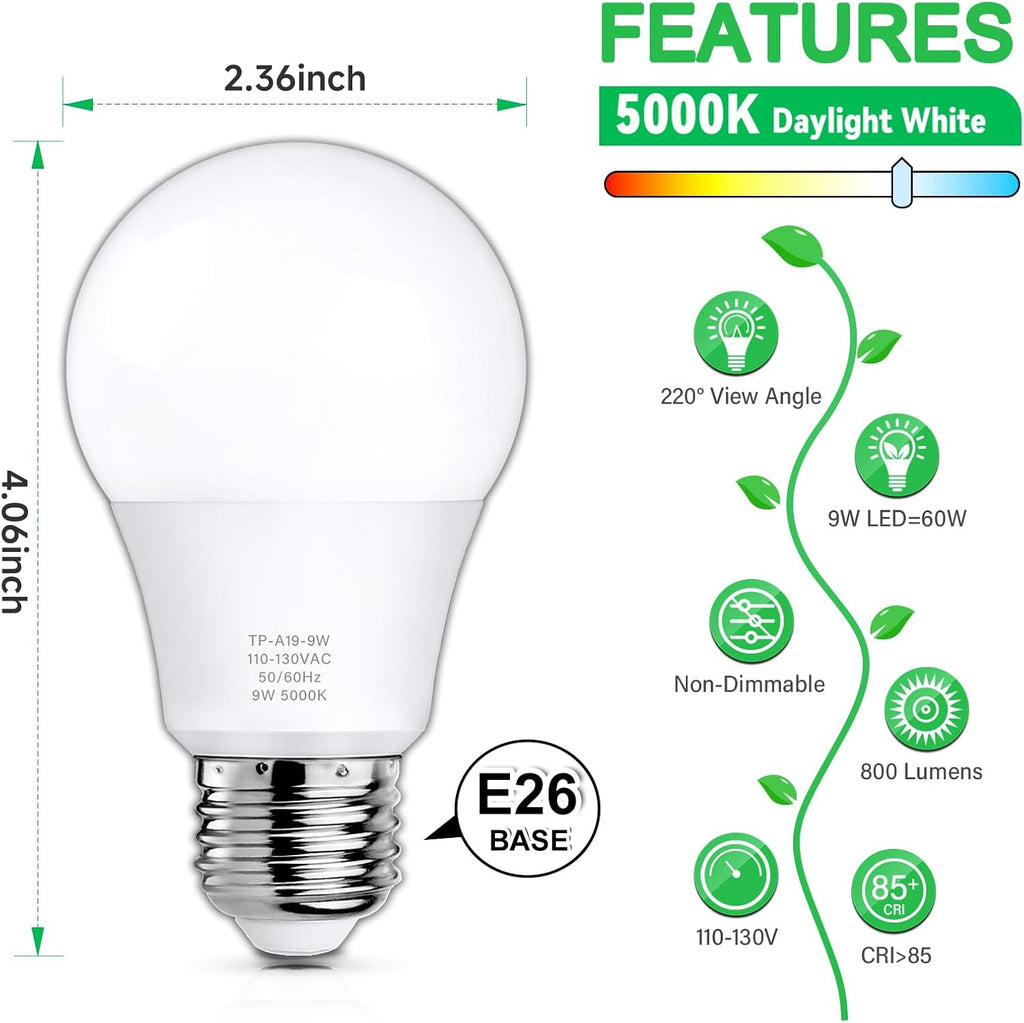 A19 LED Light Bulbs 60W Equivalent Daylight White 5000K