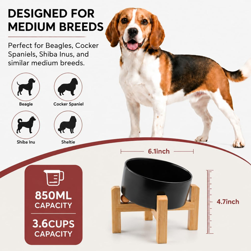 Elevated Ceramic Dog Bowl/Raised Ceramic Dog Bowls with Bamboo Stand, 15°Slanted Raised Pet Feeder for Small Medium
