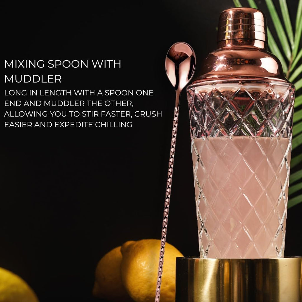 Nikita Cocktail Shaker, 5-Piece Martini Shaker & Bartender Kit with Bar Accessories Strainer, Jigger, Spoon & - Set of 5