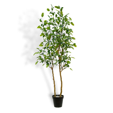 Faux Lemon Tree, 7 ft, Black, Home Decor
