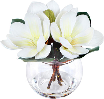 Artificial Magnolia Flowers with Vase White Fake Magnolia Flowers in Glass Vase with Faux Water Small Potted Flower