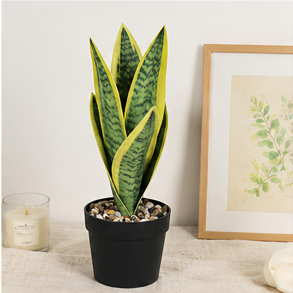 Mini plants Small Artificial Snake Plant in Black Pot 10.5" - Green