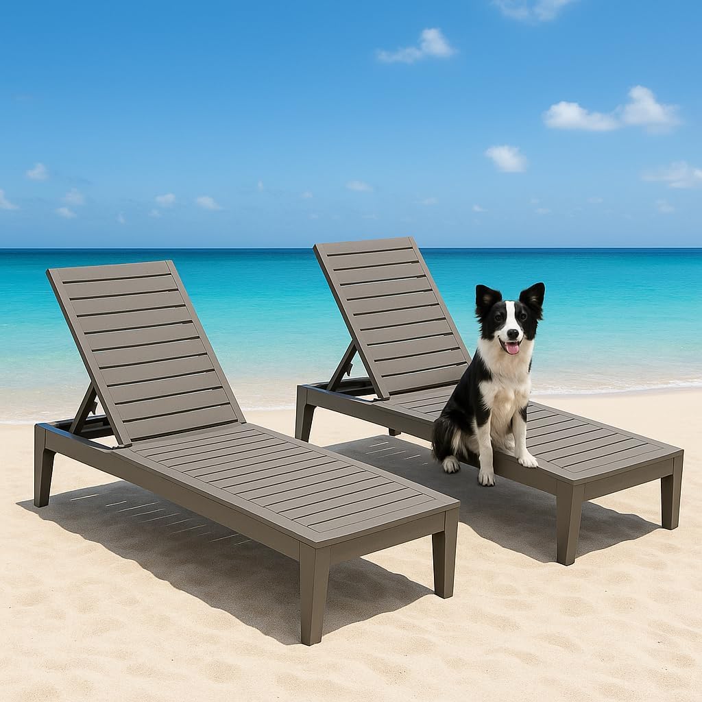 Outdoor Chaise Lounge Chairs Set (Grey, 2pcs)