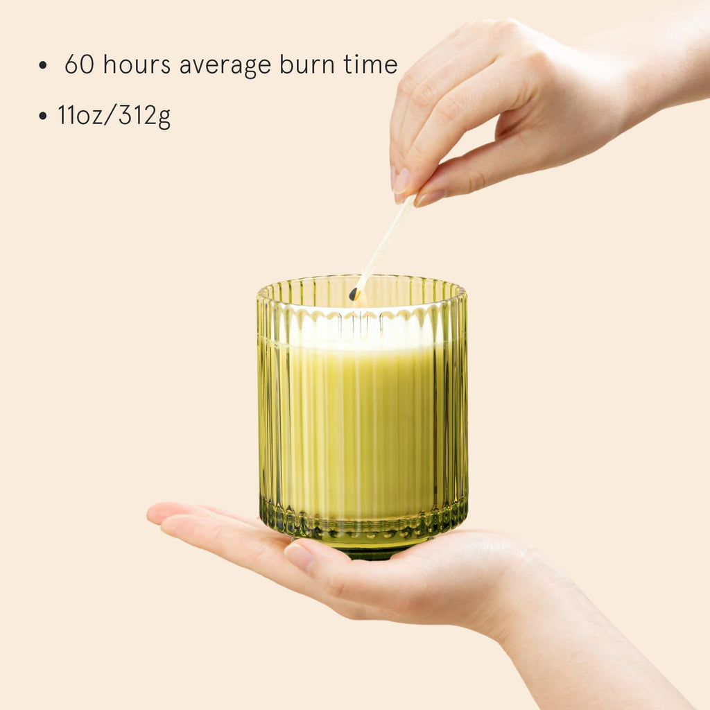 Starlit Fir Pine Scented Candles, Natural Soy 11oz