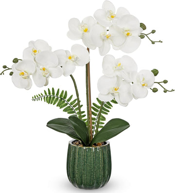 White Orchid Artificial Flowers in Ribbed Green Ceramic Pot, 18.9in Silk Orchid Fake Flower Real Touch Phalaenopsis