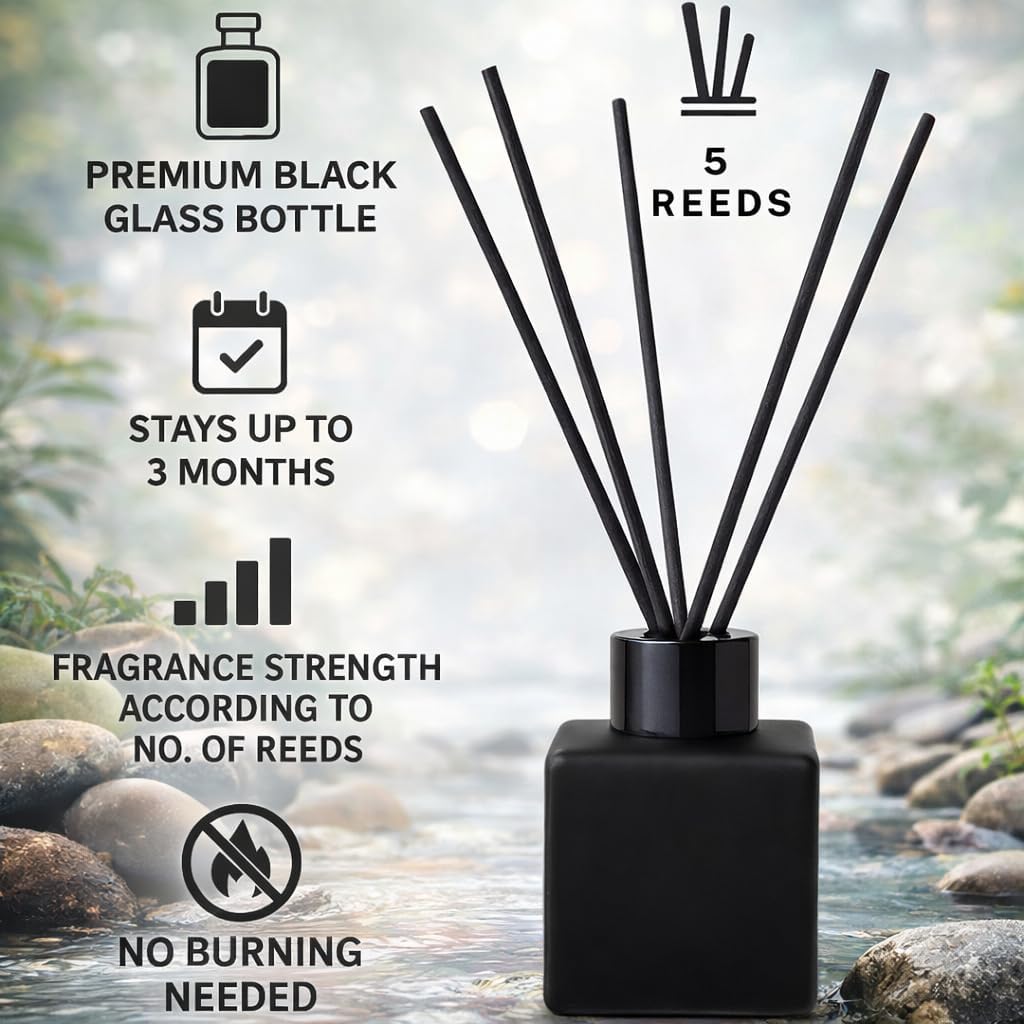 Library Luxury Reed Diffuser Set - 50 ml Scented Oil with Glass Bottle & Reed Sticks, Warm Woody Book-Inspired Home - Set of 17